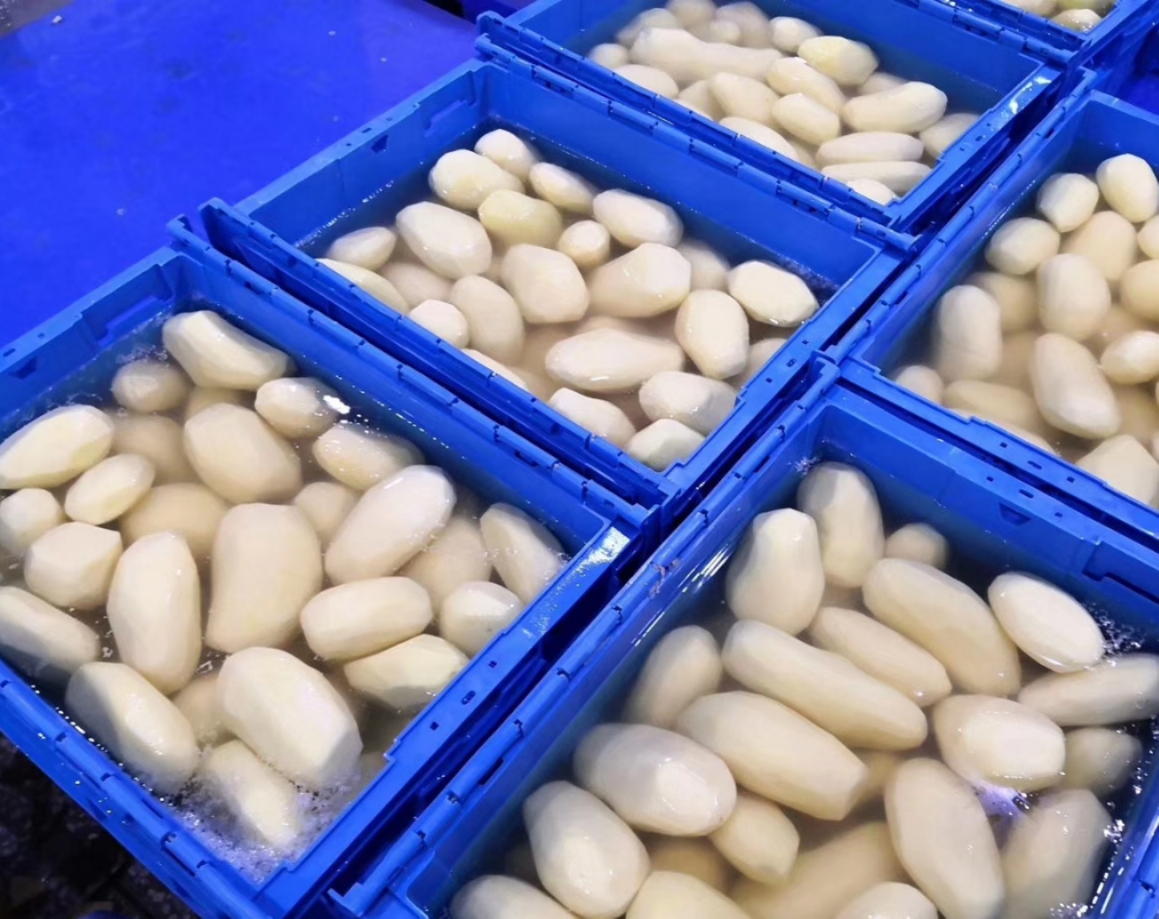 1594628995165696.jpg 微信图片_20191227110525.jpg