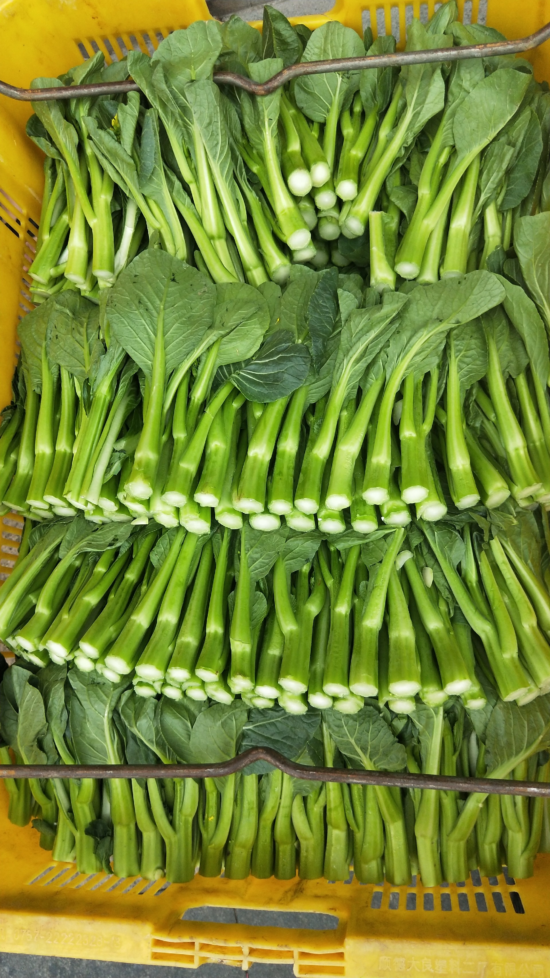 1595215861212076.jpg 微信图片_20191227110754.jpg