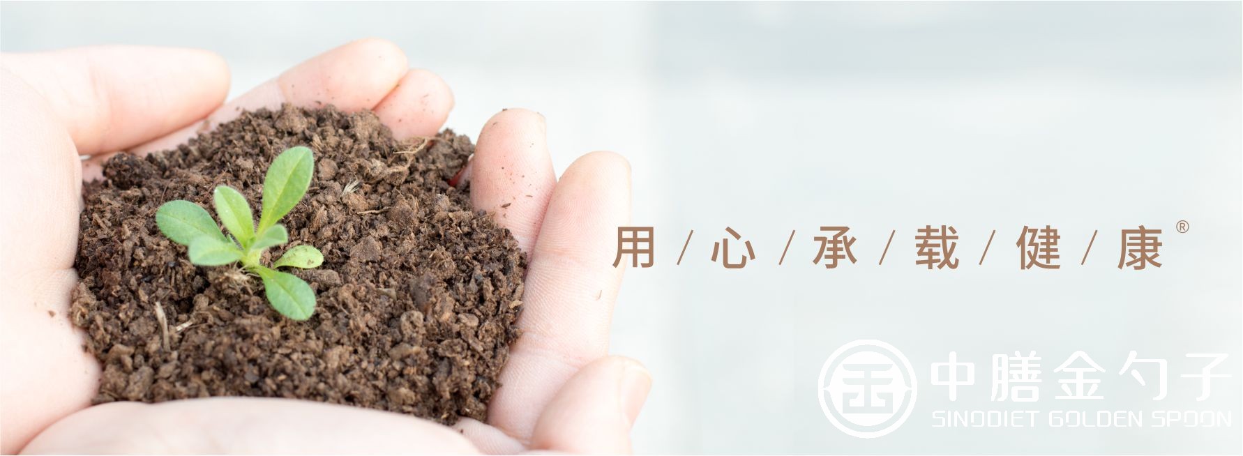 1612417626378374.jpg 1612417626378374.jpg