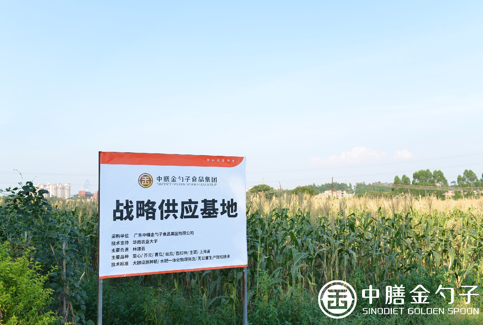 1612417852954695.jpg 1612417852954695.jpg