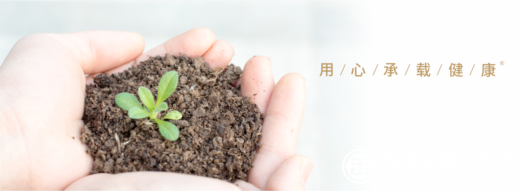 1652853459280523.png 顶关注.png