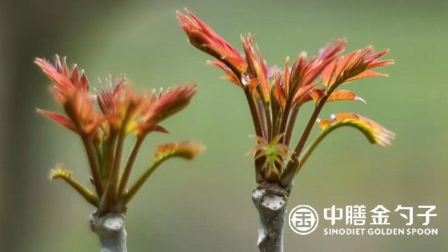 1655169292113104.png 图片1.png