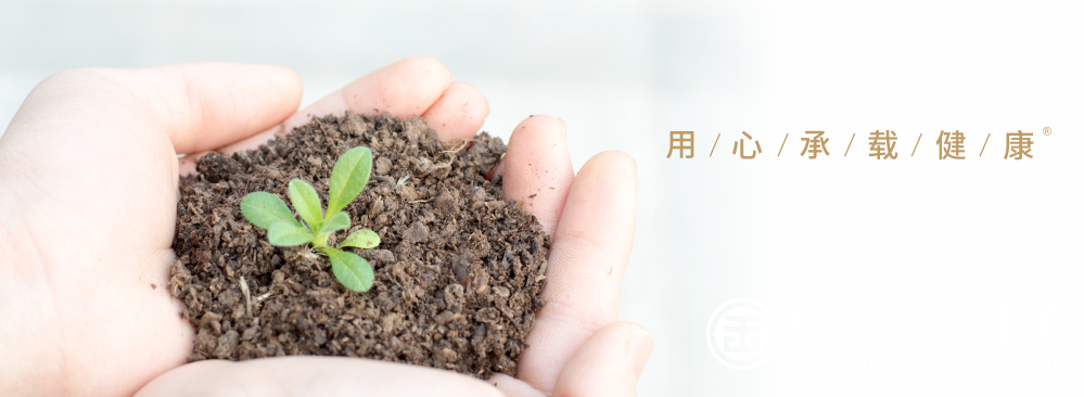 1669185726782319.png 640.png